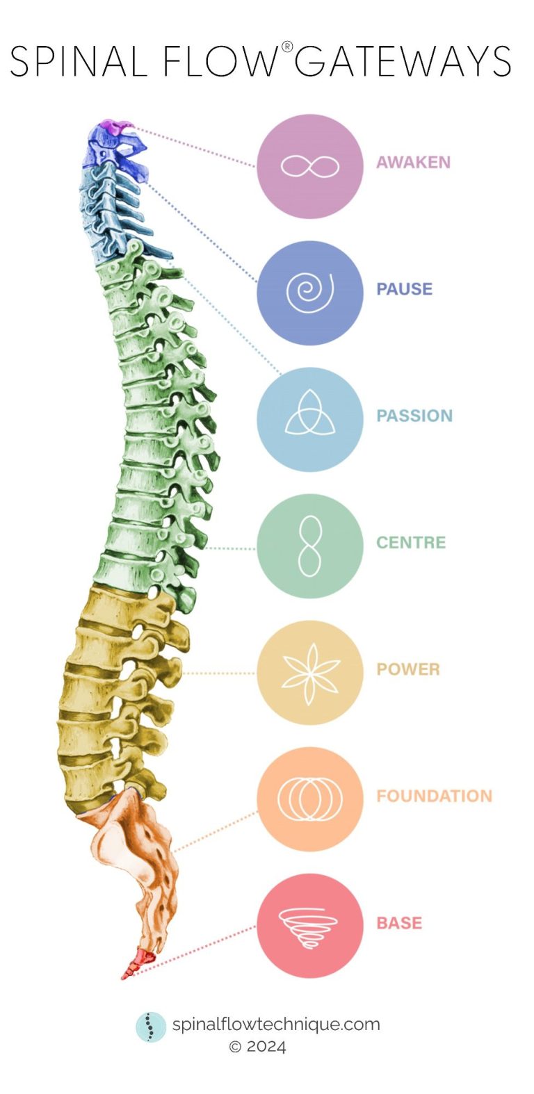 Wirbelsäule mit farbigen Symbolen & Beschreibung der 7 Gateways der Spinalflow Modalität. Awaken-Pause-Passion-Centre-Power-Foundation-Base.