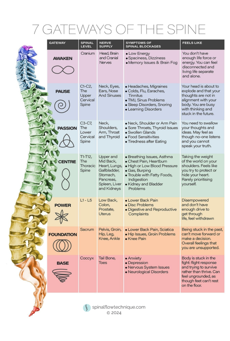 Farbige Wirbelsäule mit Tabelle der 7 Gateways der Spinalflow Modalität und Info über jeweilige Symptome und Zuordnung im Körper.